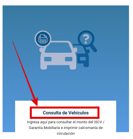 consulta de vehículos para imprimir calcomanía