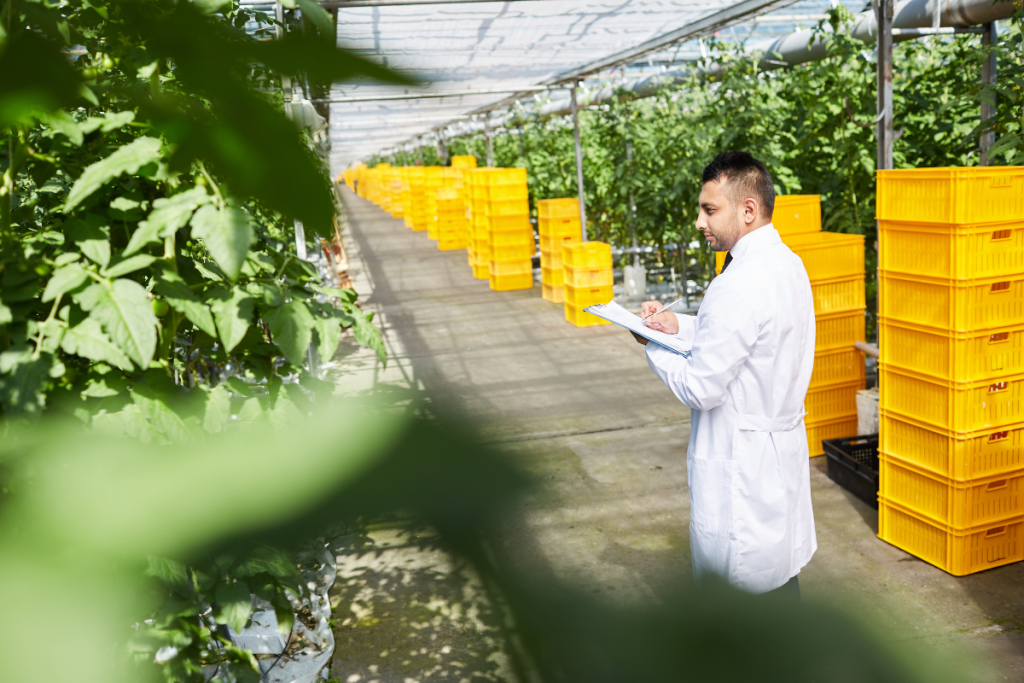 Desafíos del sector agropecuario en Guatemala, su historia y evolución