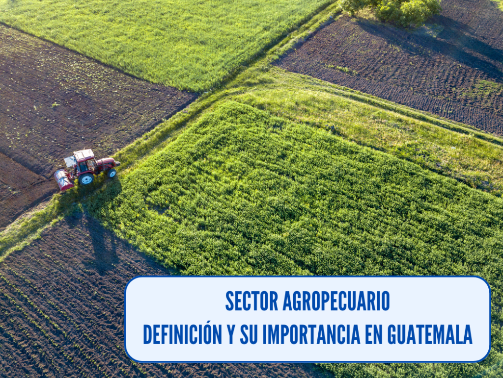 Qué es el sector agropecuario? Definición y su importancia en Guatemala como actividad económica