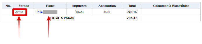 Información de un vehículo activo o inactivo en el portal SAT