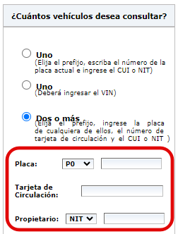 Consulta de dos o más vehículos activos en el portal SAT 